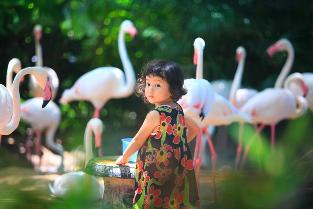 วันเด็กแห่งชาติปี 67 เด็กๆเที่ยวสวนสัตว์ฟรี 6 แห่งทั่วไทย