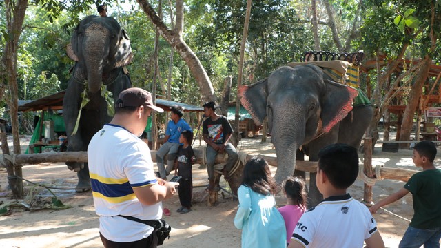 นราธิวาส – ปักหมุดเปิดแล้ว “ปางช้างสุไหงบาลา” ช้างแสนรู้ คู่ชาวนราฯปางช้างแรกใน3 จังหวัดชายแดนใต้
