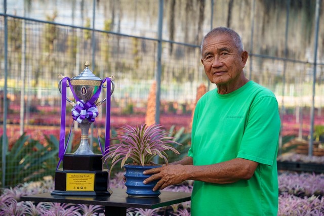 สวนนงนุชพัทยาคว้ารางวัลพระราชทานชนะเลิศยอดเยี่ยม การประกวดสับปะรดสี งานมหกรรมไม้ดอกไม้ประดับ พฤษภาตะวันออก ครั้งที่17