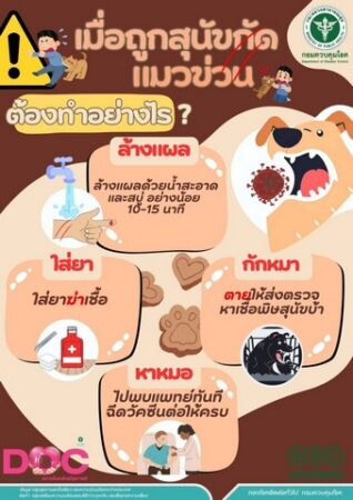 แพทย์ทหารเตือน เมื่อถูกสุนัข-แมว กัด ข่วน ต้องรีบล้างแผลแล้วฉีดวัคซีนป้องกันโรคพิษสุนัขบ้า