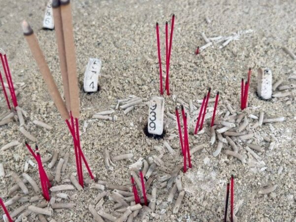 ปทุมธานี พรุ่งนี้รวย ชาวบ้านส่องเลขธูปไอ้ไข่วัดบางเตยกลาง สามโคก หวังรับโชคในวันหวยออก