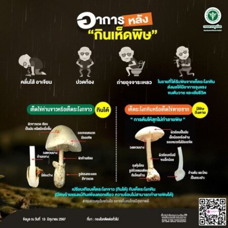 แพทย์ทหารเตือน กินเห็ดป่าหรือเห็ดขึ้นเองตามธรรมชาติ ต้องระวัง “อาจเป็นเห็ดพิษ เสี่ยงเสียชีวิตได้”