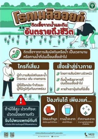 แพทย์ทหารเตือน “หน้าฝนนี้ ระวังป่วยโรคเมลิออยโดสิส หรือโรคไข้ดิน”