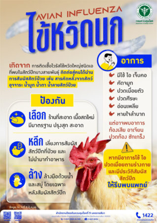 แพทย์ทหารเตือน “ระวังไข้หวัดนก”
