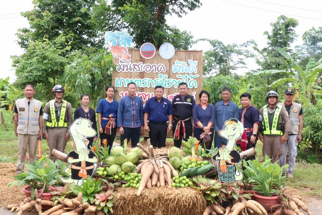 กาฬสินธุ์เปิดโครงการมันสำปะหลังสะอาดเพิ่มมูลค่าผลผลิตทางการเกษตร