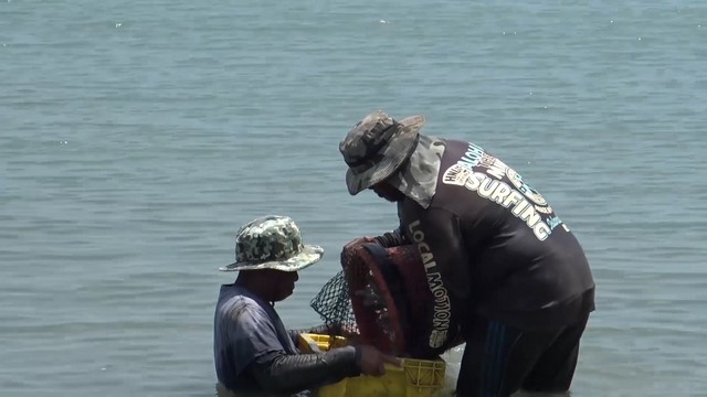 สงขลา-ชาวประมงพื้นบ้าน นำเรือออกทำการประมงวางอวนจับปูจับปลาบริเวณใกล้ฝั่งไม่ออกไปไกลฝั่ง เนื่องจากอุตุใต้เตือนฝนตกหนัก และลมกรรโชกแรง